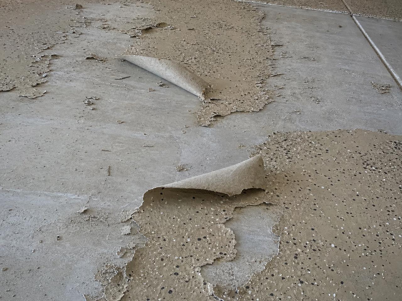 Failed garage floor coating peeling off the concrete in curled sheets